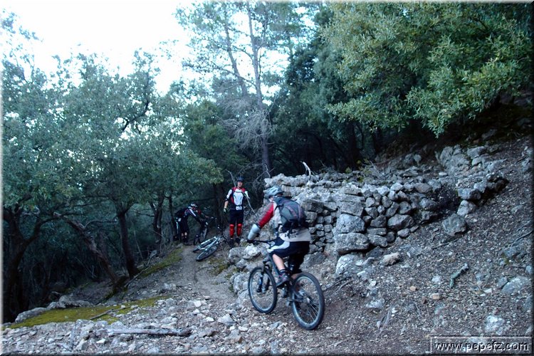 P2250869.JPG