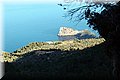 P2250891.JPG