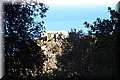 P2250899.JPG