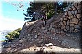 P2250981.JPG