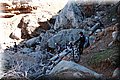 P2251006.JPG