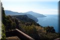 P2251072.JPG