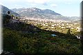 P3101495.JPG