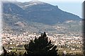P3101501.JPG