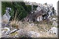 P3101565.JPG