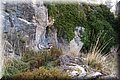 P3101567.JPG