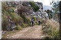 P3101568.JPG