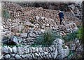 P3101627.JPG