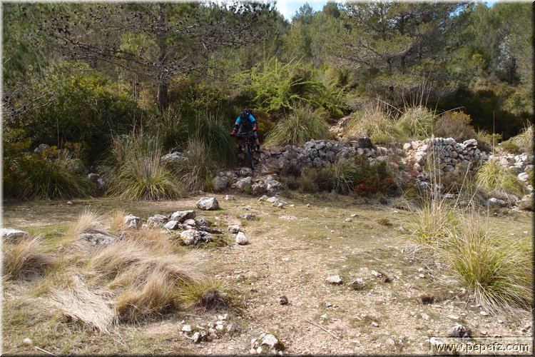 P3172204.JPG