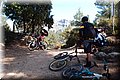 P3172163.JPG