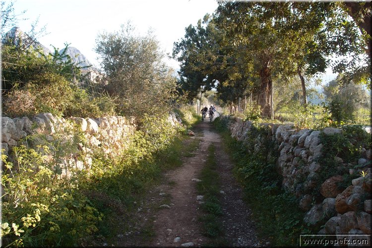 P3312776.JPG