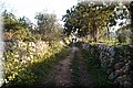 P3312776.JPG