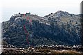 P3312882.JPG