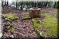 P4053181.JPG