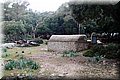 P4053189.JPG