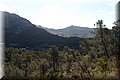 P4143331.JPG