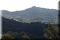 P4143332.JPG