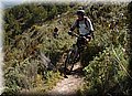 P4143340.JPG
