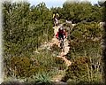 P4143368.JPG