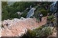 P4143386.JPG