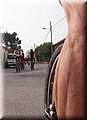 P4283993.JPG