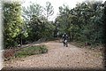 P4284003.JPG