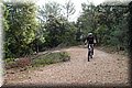 P4284005.JPG