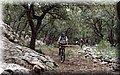 P4284035.JPG