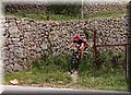 P4284067.JPG