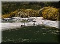 P4284091.JPG