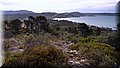 P5054366.JPG