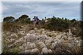 P5054367.JPG