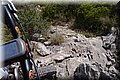 P5054430.JPG