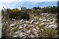 P5054431.JPG