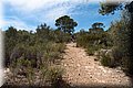 P5054434.JPG