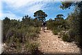 P5054435.JPG