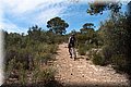 P5054436.JPG