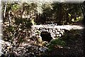 P5124879.JPG