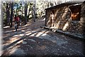 P5265857.JPG