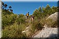 P5265866.JPG