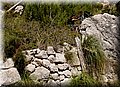 P5265880.JPG