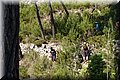 P5265883.JPG