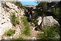 P5265884.JPG