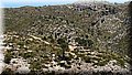 P5265906.JPG