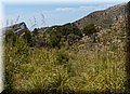 P5265916.JPG