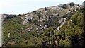P5265920.JPG