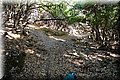P6026143.JPG