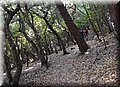 P6026148.JPG