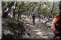 P6026160.JPG
