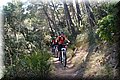 P6026200.JPG